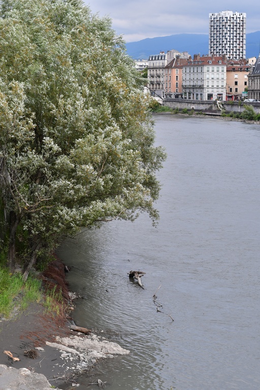 2019-08-19 Grenoble/DSC_2054.JPG